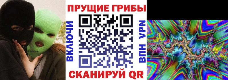 Псилоцибиновые грибы Psilocybine cubensis  Купить закладки  Малая Вишера 